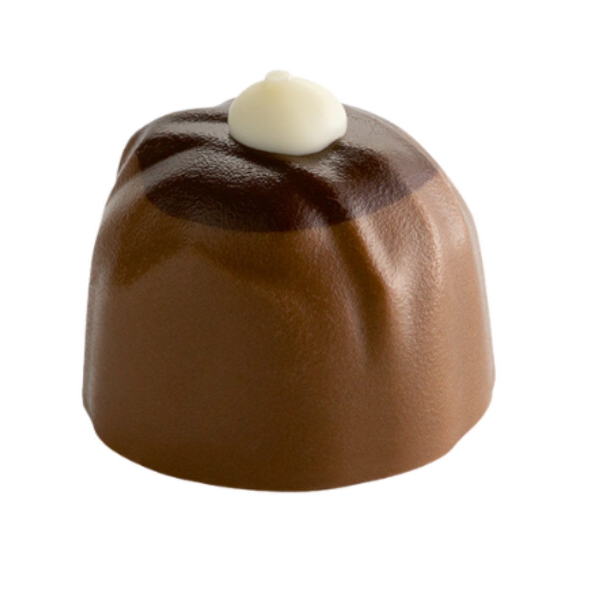 Double Chocolate Truffle 
